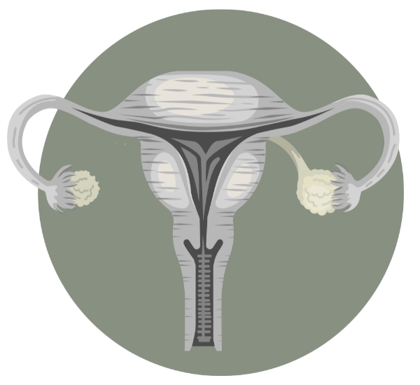 PCOS_ikon